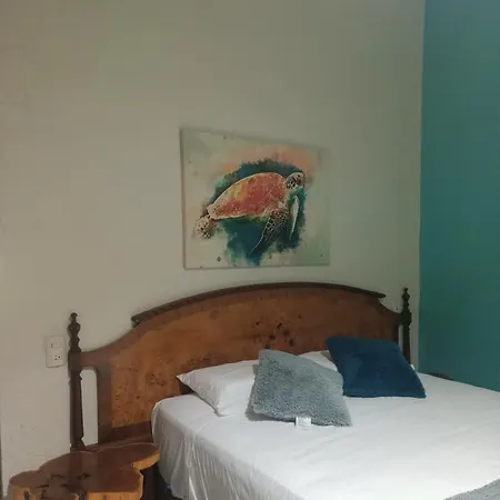 Mar De Fondo Bed & Breakfast Puerto Escondido  Room photo